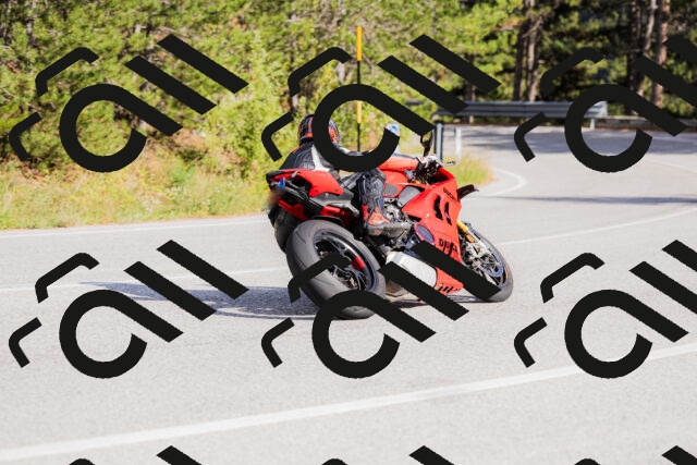 202509271530-_04A0522_c3