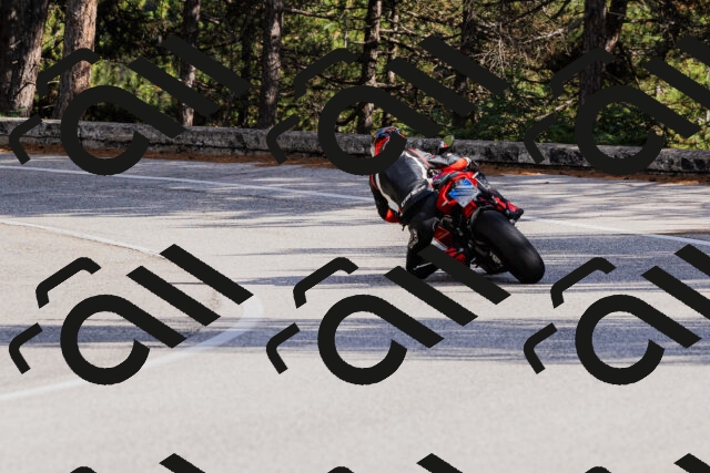 202509271530-_04A0526_c3