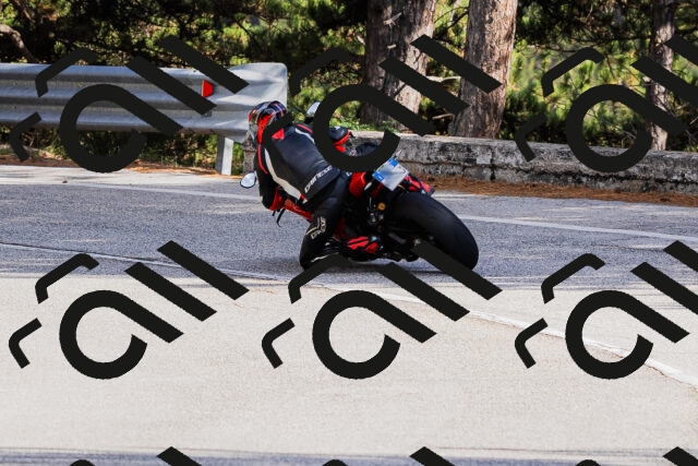 202509271530-_04A0528_c3