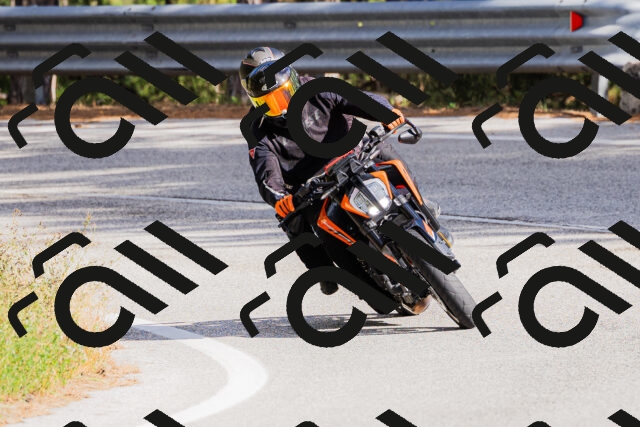 202509271535-_04A0529_c3