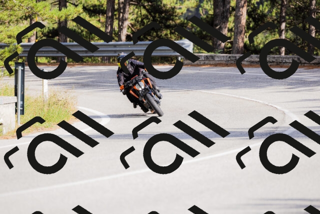 202509271535-_04A0530_c3