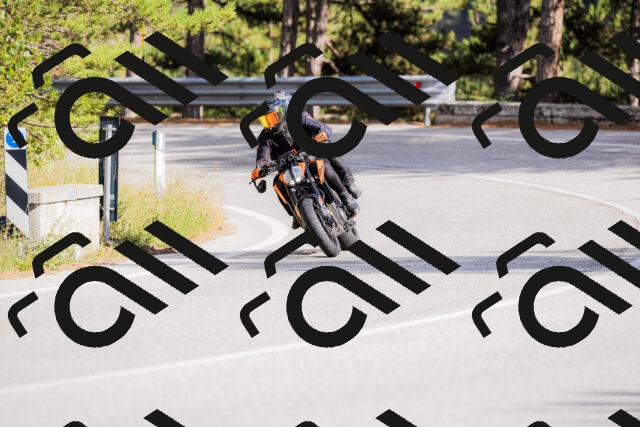 202509271535-_04A0531_c3