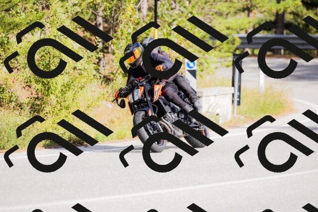 202509271535-_04A0533_c3