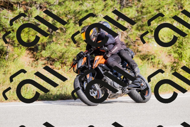 202509271535-_04A0534_c3