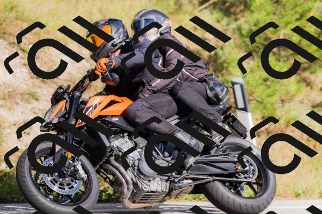 202509271535-_04A0535_c3