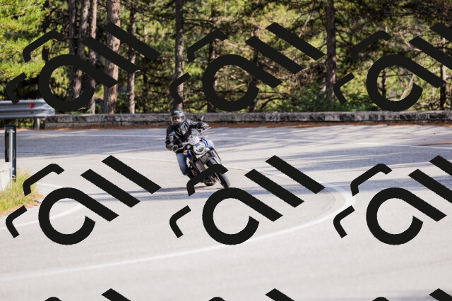 202509271542-_04A0540_c3