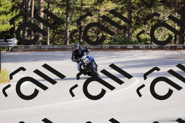 202509271542-_04A0541_c3