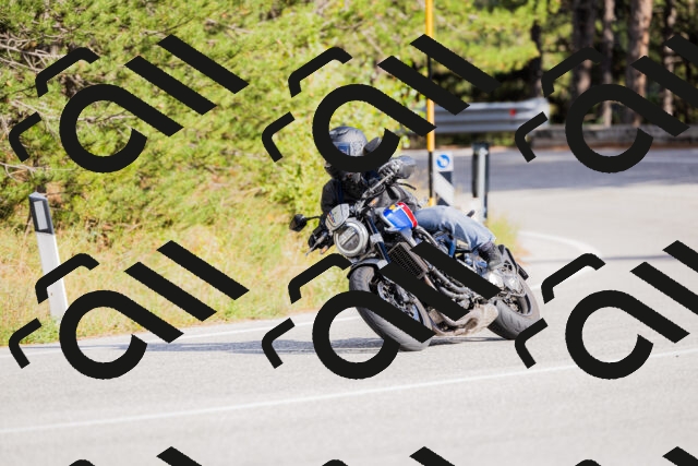 202509271542-_04A0543_c3