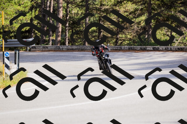 202509271542-_04A0546_c3