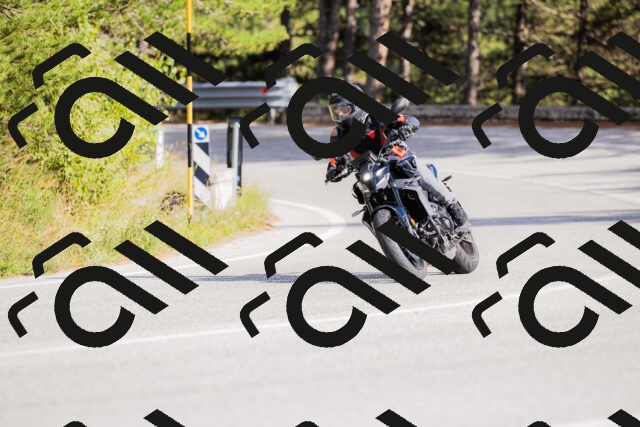 202509271542-_04A0547_c3