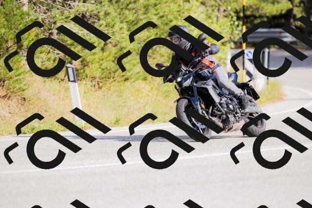 202509271542-_04A0548_c3