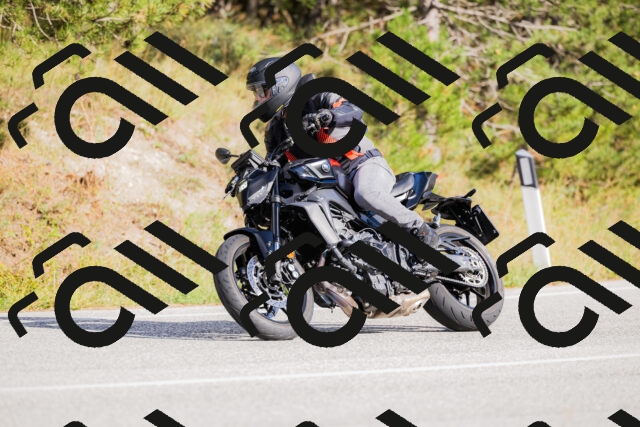 202509271542-_04A0549_c3