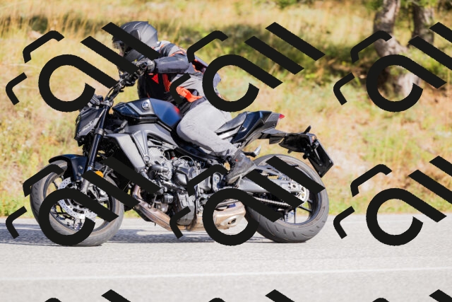 202509271542-_04A0550_c3