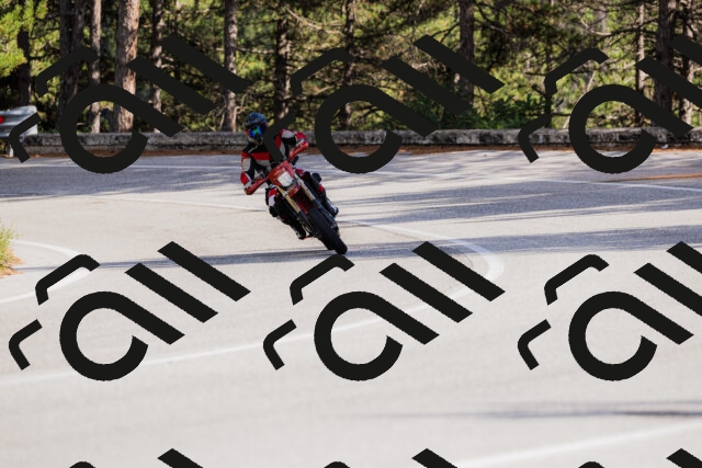 202509271547-_04A0551_c3