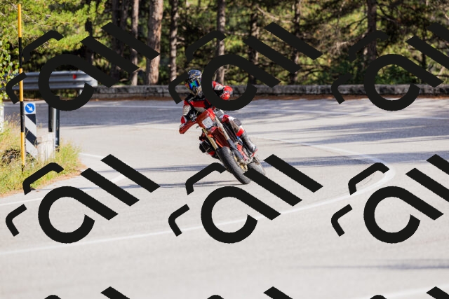 202509271547-_04A0553_c3