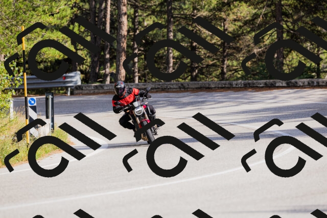 202509271548-_04A0563_c3