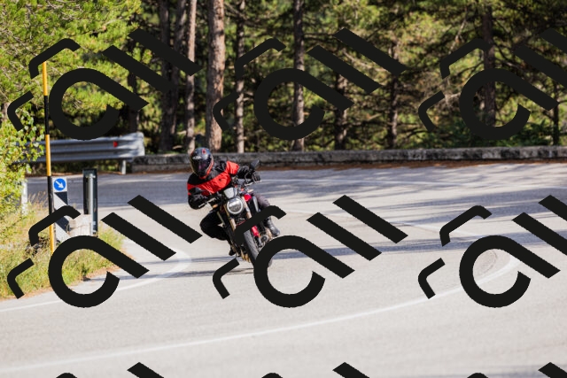 202509271548-_04A0564_c3