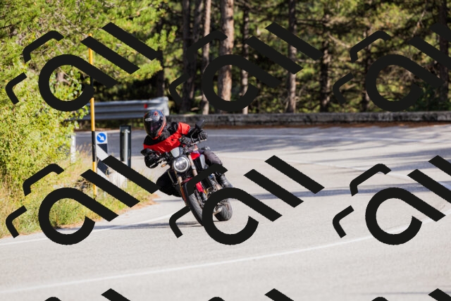 202509271548-_04A0565_c3