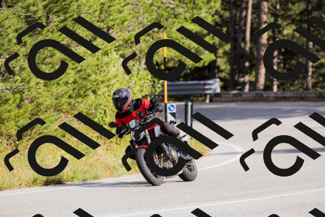 202509271548-_04A0566_c3