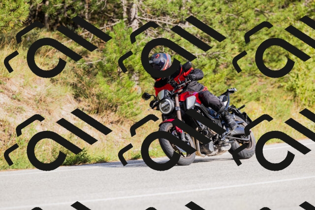 202509271548-_04A0567_c3