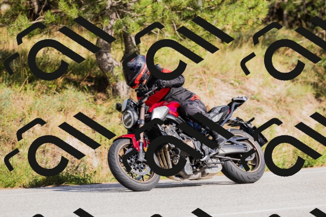 202509271548-_04A0568_c3