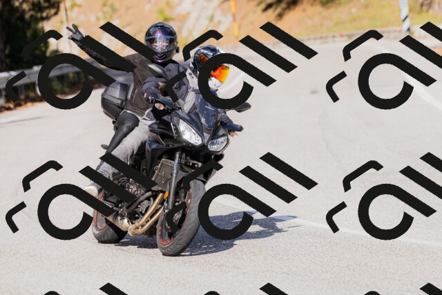 202509271548-_04A0569_c3