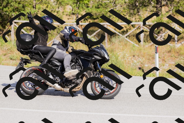 202509271548-_04A0572_c3