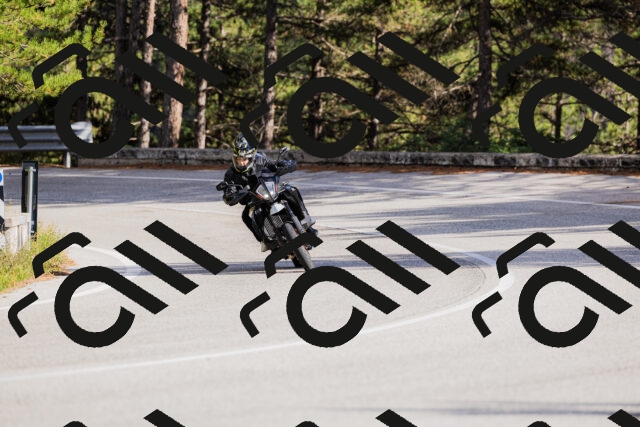 202509271551-_04A0574_c3