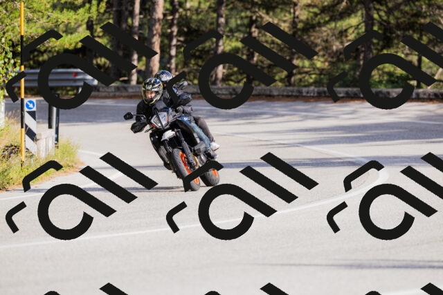 202509271551-_04A0575_c3