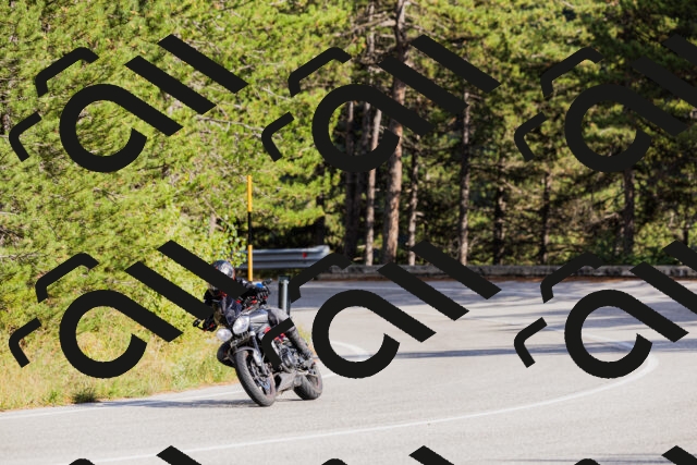 202509271553-_04A0586_c3