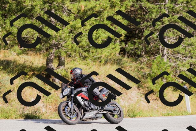 202509271553-_04A0588_c3