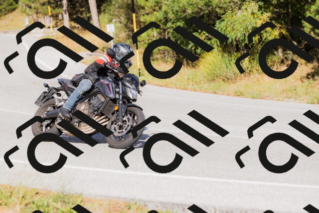 202509271556-_04A0592_c3