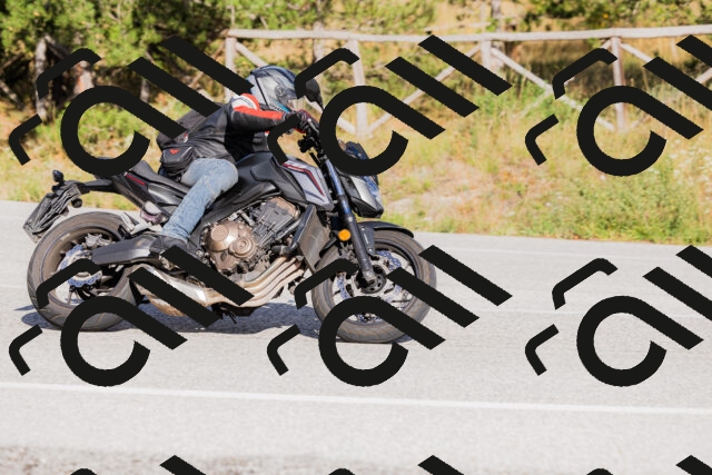 202509271556-_04A0593_c3