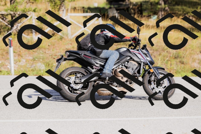 202509271556-_04A0594_c3