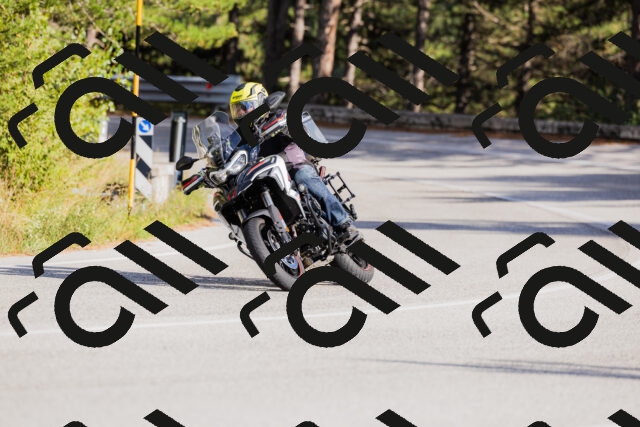 202509271558-_04A0600_c3