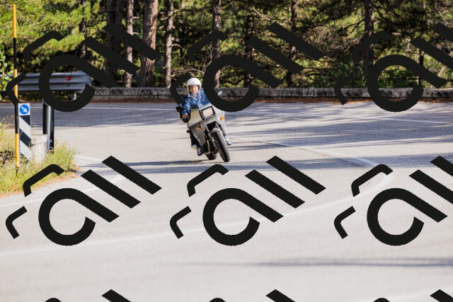 202509271559-_04A0604_c3