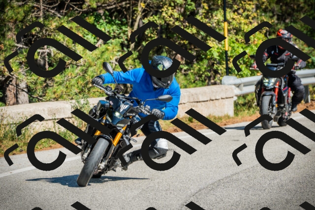 202509271201-DSC00657_c1_