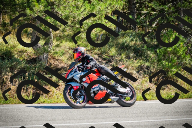 202509271201-DSC00664_c1_