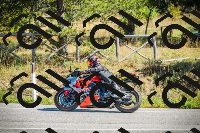 202509271201-DSC00665_c1_