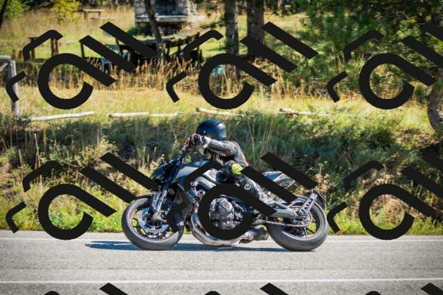 202509271201-DSC00666_c1_