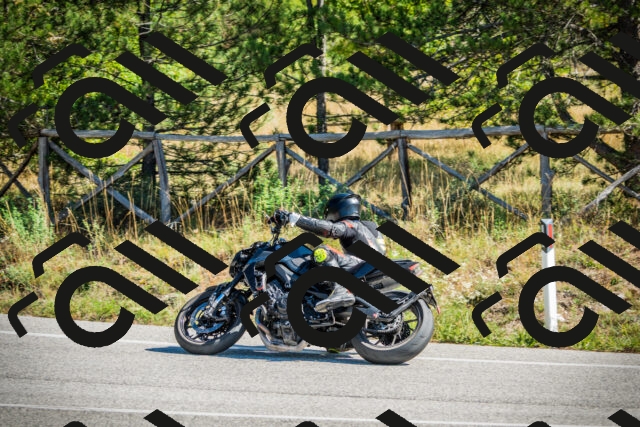 202509271201-DSC00667_c1_