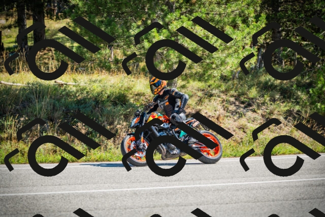 202509271201-DSC00673_c1_