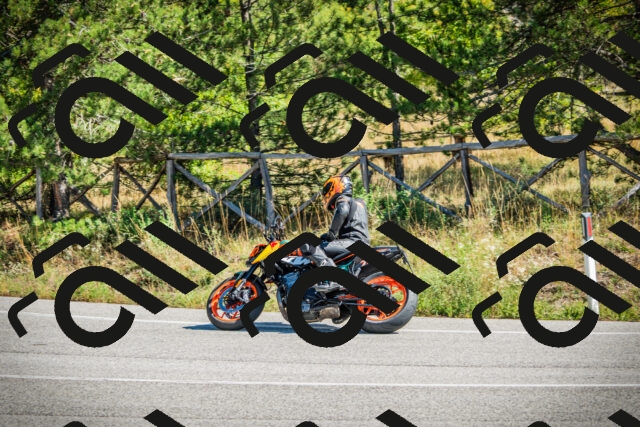 202509271201-DSC00674_c1_