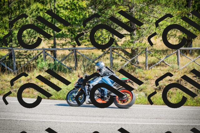 202509271202-DSC00681_c1_