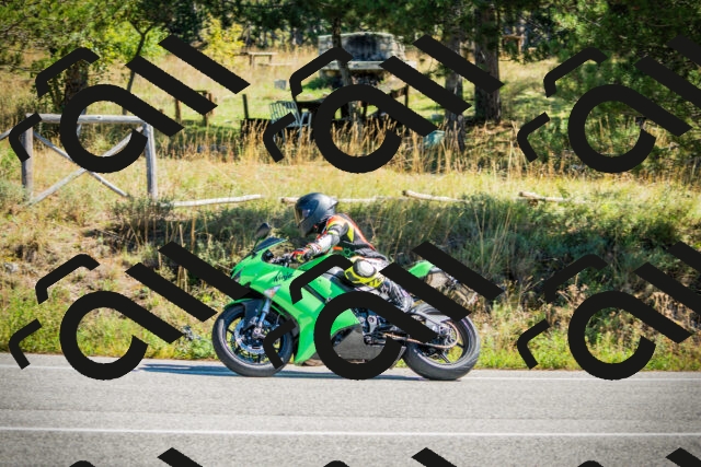 202509271202-DSC00682_c1_