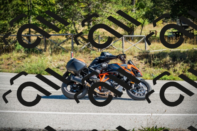 202509271202-DSC00688_c1_