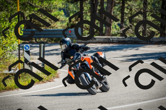 202509271204-DSC00693_c1_