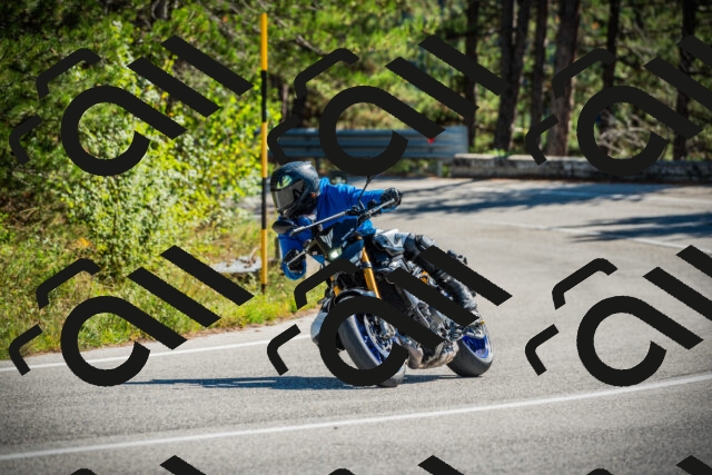 202509271213-DSC00728_c1_