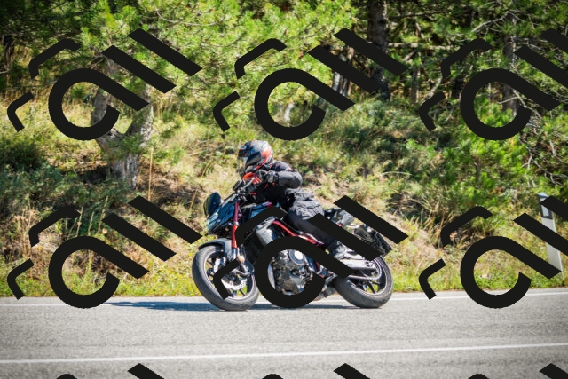 202509271213-DSC00733_c1_