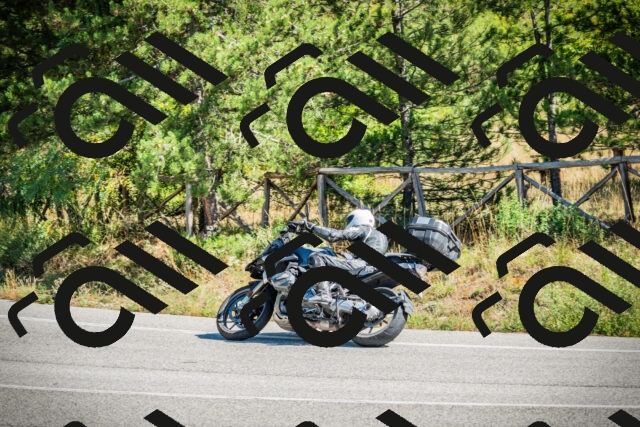 202509271216-DSC00748_c1_